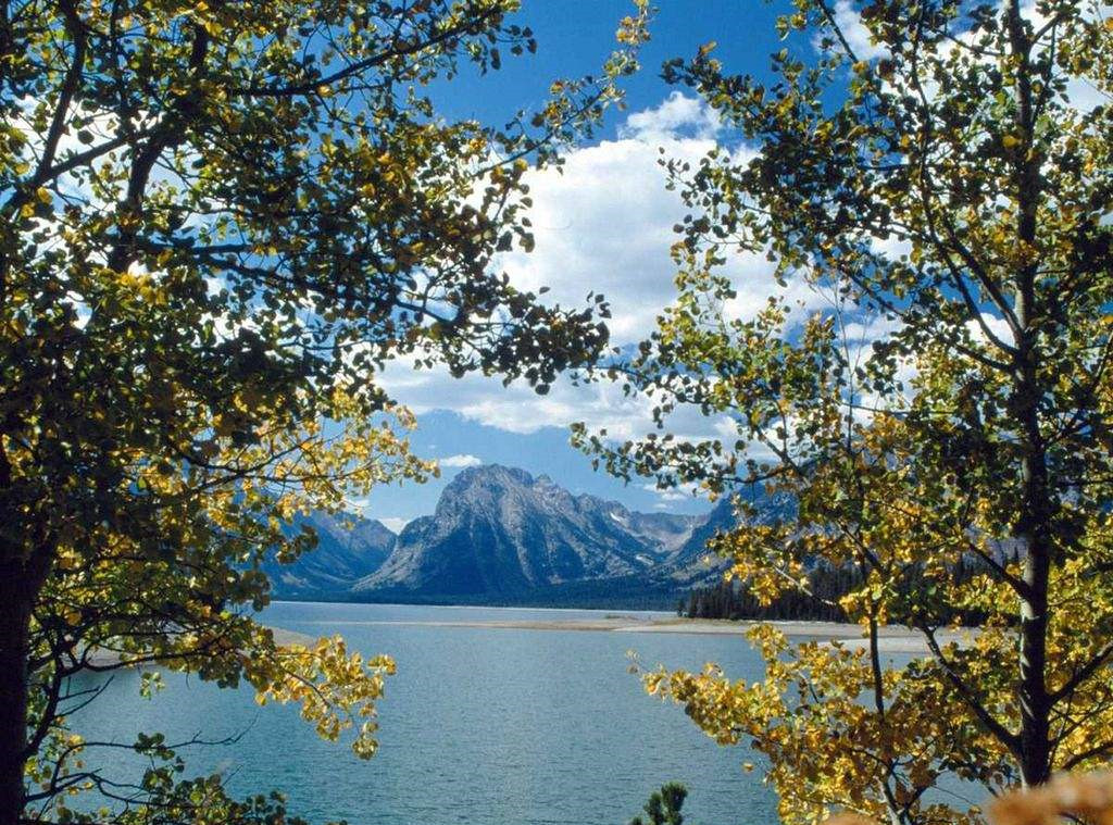 风景