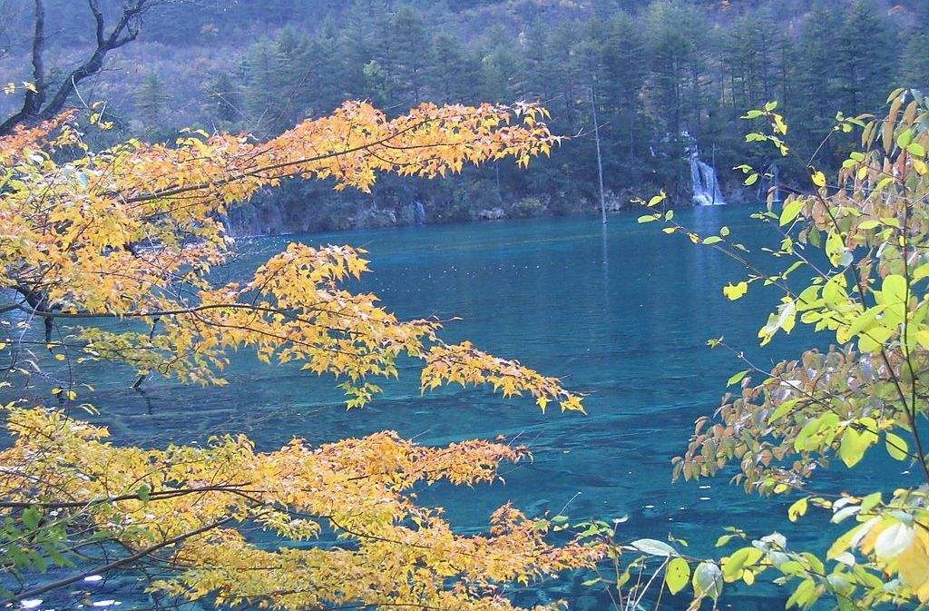 风景