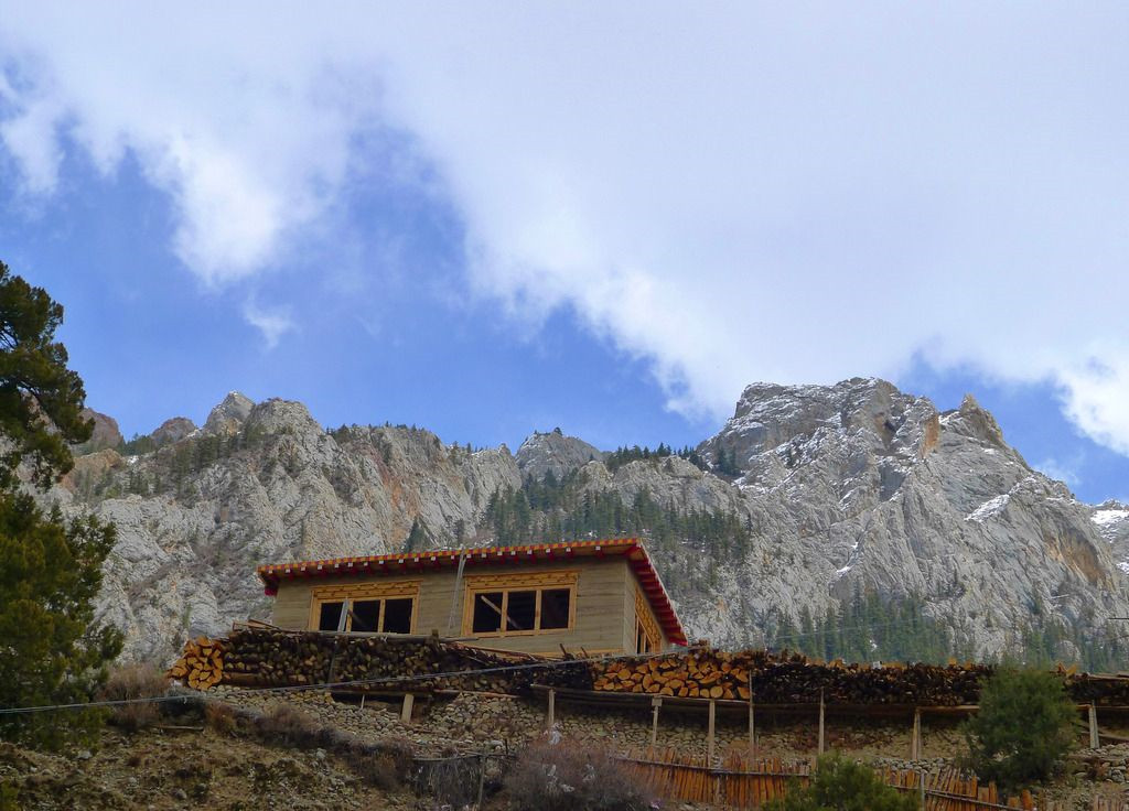 风景