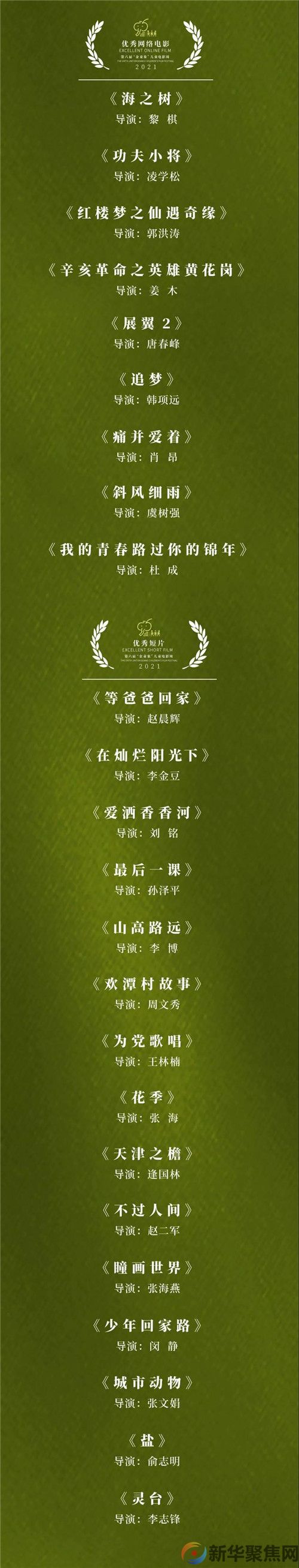 由大连三德电影公司拍摄制作的电影短剧《瞳画世界》已入围获奖(图2)