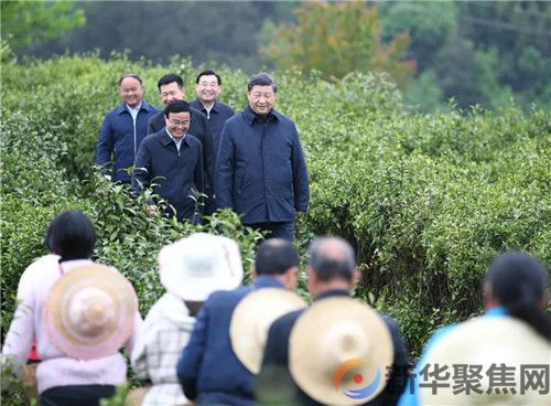 “五级书记”同框照，获中国新闻奖一等奖(图1)