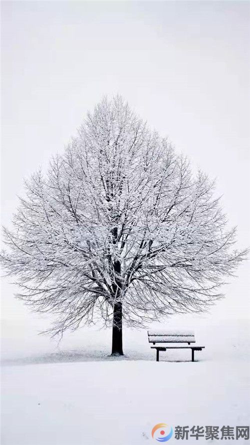 《初雪》，祝你冬日安康！(图3)
