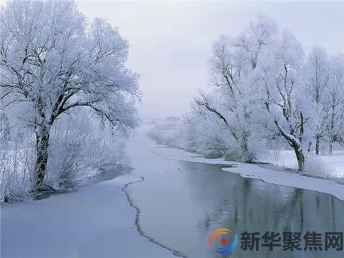 《初雪》，祝你冬日安康！(图4)