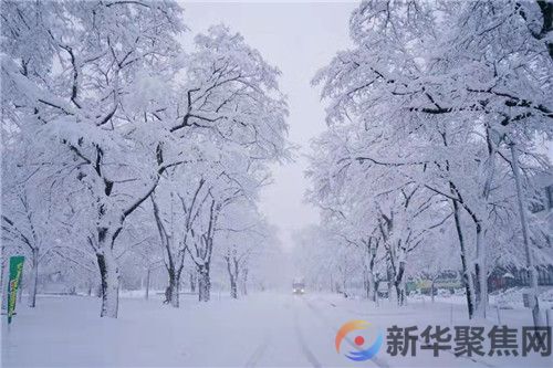 《初雪》，祝你冬日安康！(图6)