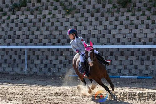 大连青山马术俱乐部举办的2021东北马术场地障碍巡回赛正式开幕(图3) 大连青山马术俱乐部举办的2021东北马术场地障碍巡回赛正式开幕(3)