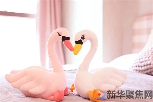 旅人柏客，皆欢喜；短睡久居，总相宜！(图17)