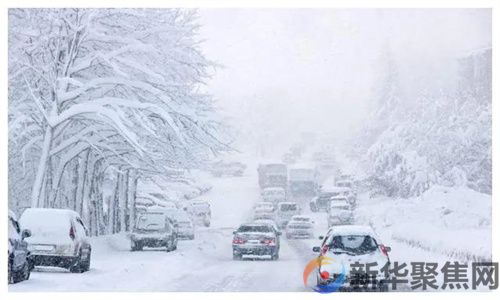 下 雪 了  (图1)