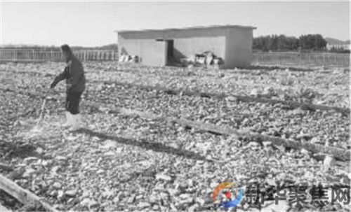 件件实事拓宽杨家乡的“振兴”路