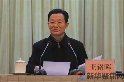 王铭晖被查！(图1)