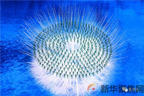 绝美瞬间,高清大图!(5) 绝美瞬间,高清大图!(5)