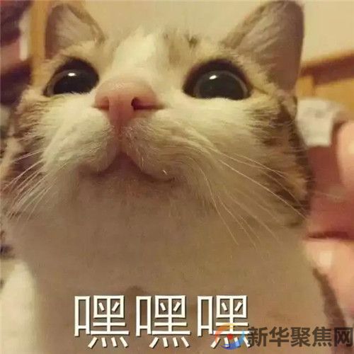 “2.14”为什么不“香”了?(4) “2.14”为什么不“香”了?(4)