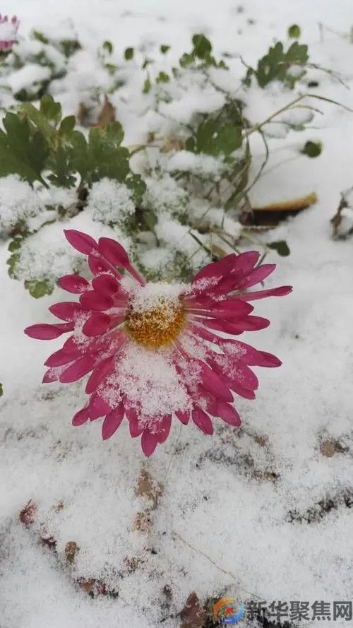 下雪的春天(3) 下雪的春天(3)