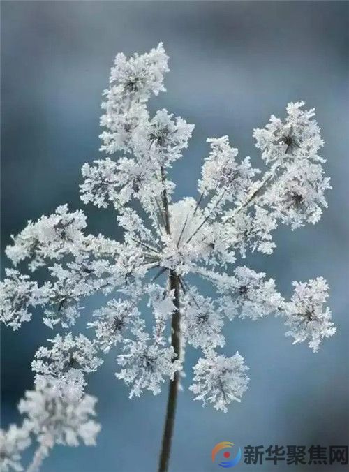 下雪的春天(2) 下雪的春天(2)