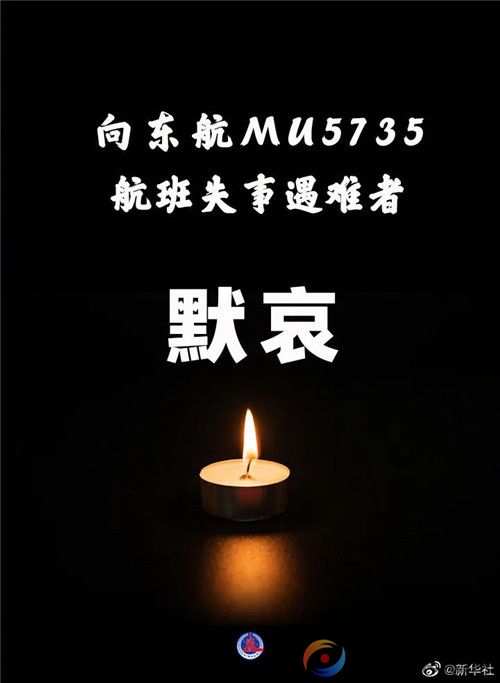 东航MU5735航班上人员全部遇难(图1)
