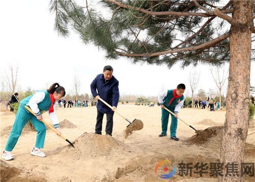 习近平参加首都义务植树活动(图1) 习近平参加首都义务植树活动(图1)