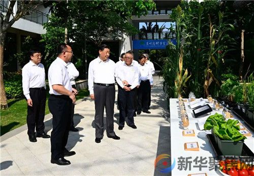习近平：只有攥紧中国种子，才能端稳中国饭碗(1)