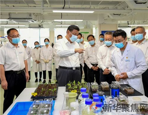 习近平：只有攥紧中国种子，才能端稳中国饭碗(3)