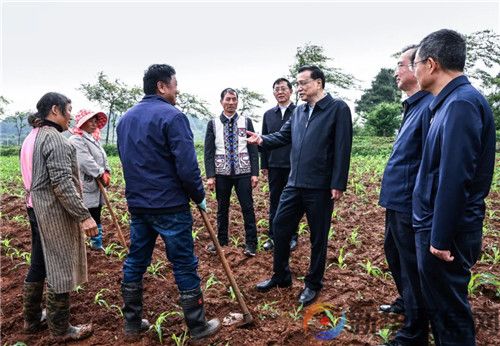 李克强在云南考察：上下齐心协力 加大市场主体纾困力度 切实稳就业保基本民生(图1)