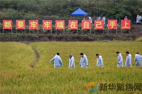 今天，我们想您了！(图2)