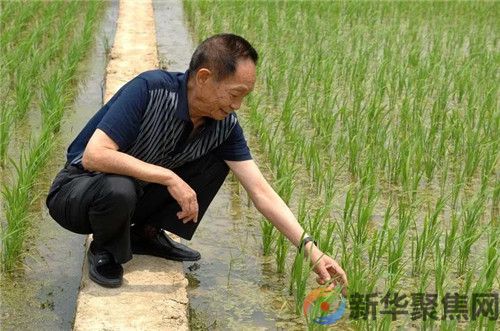 今天，我们想您了！(图4)