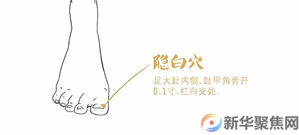 今日中伏，“冬病夏治”的黄金20天，为家人收藏！(图3)