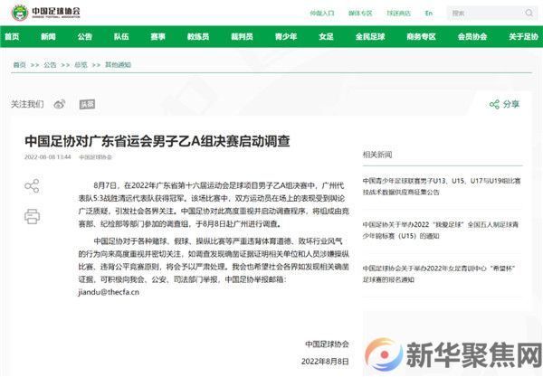 中国足协启动调查！(图2)