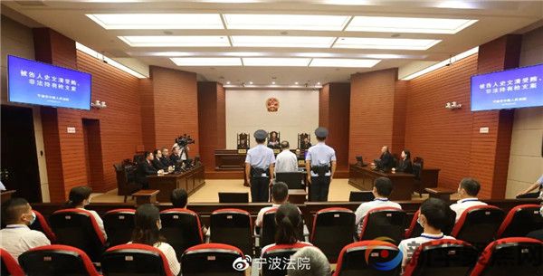 史文清受贿、非法持有枪支一案一审宣判(图1)