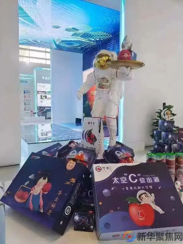 中秋苹果很风光(图2)
