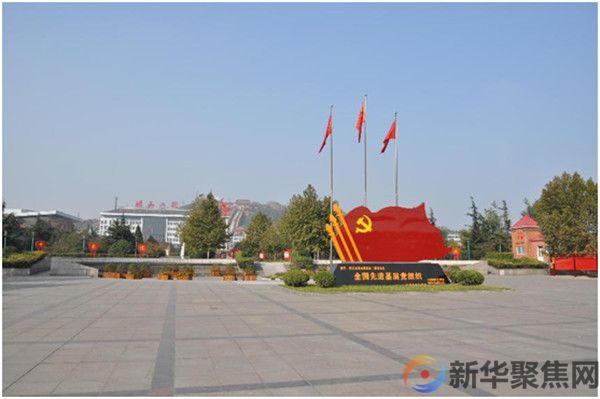 发挥农村党组织战斗堡垒作用  带领群众共同富裕奔小康(图1)