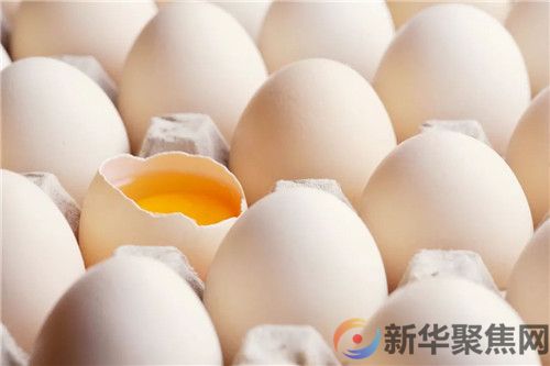 蛋价冲高！你还“蛋”定吗？(图2)