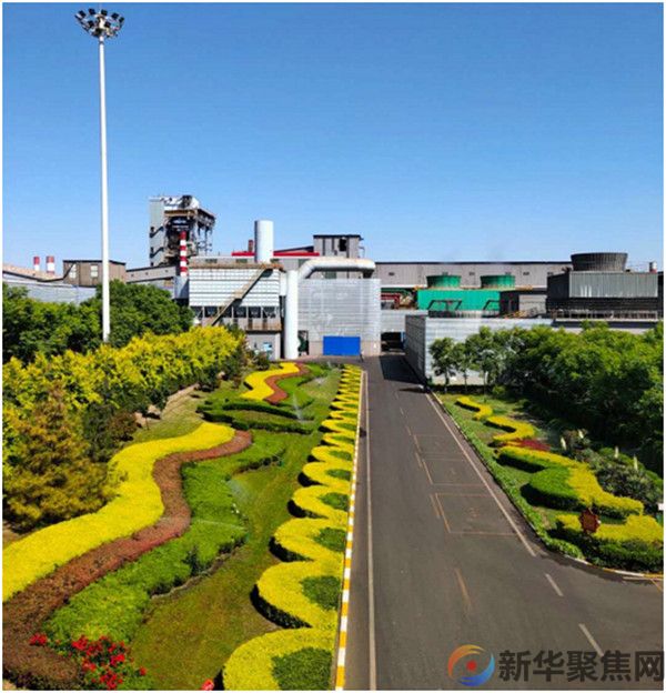 打造生态宜居环境  建设绿色美丽钢城(图3)