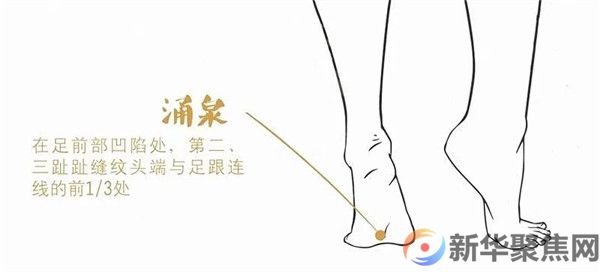 今日小寒：吃好3样，喝好3样，做好3样，健健康康过新年！(图12)
