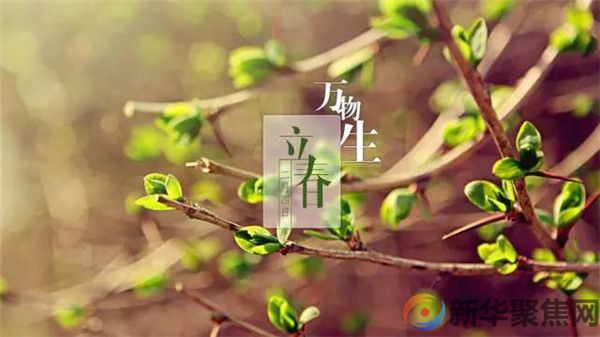 今日立春，三忌、三宜、三秘诀，抓住黄金15天，健康一整年！(图1)