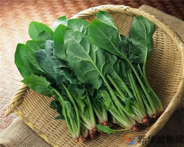 今日立春，三忌、三宜、三秘诀，抓住黄金15天，健康一整年！(图5)