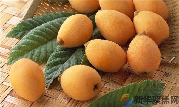 今日立春，三忌、三宜、三秘诀，抓住黄金15天，健康一整年！(图7)