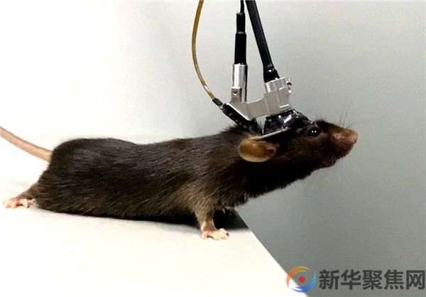 首次实现！祝贺中国科学家