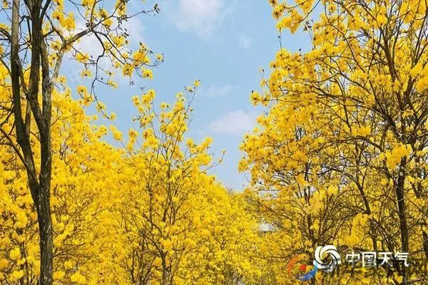 升温来了！局地升幅可达15℃
