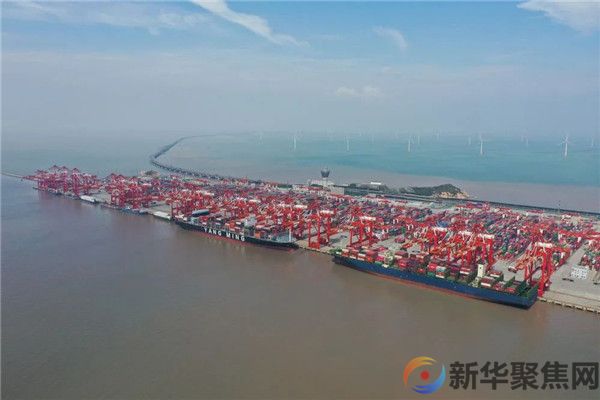 钟华论：民族复兴的领路人 亿万人民的主心骨(图1)