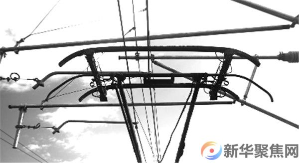 逼停列车！万元罚单已开出(图4)