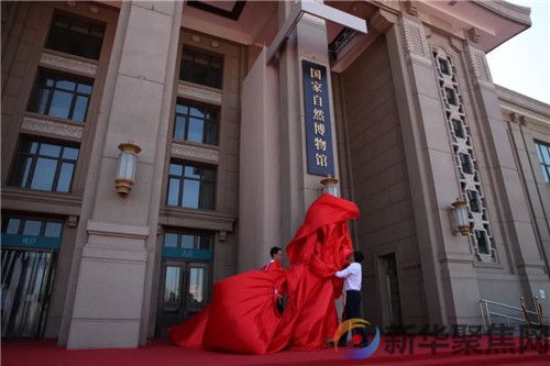 这座国家级博物馆，正式揭牌