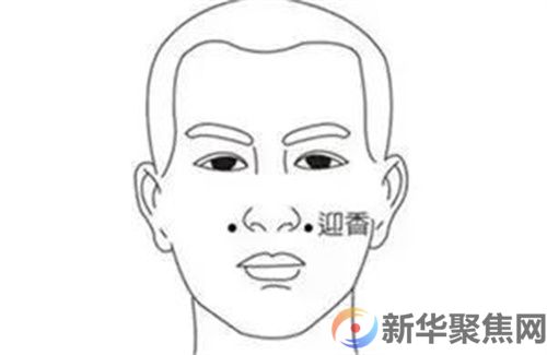 今日白露，三忌、三宜、三秘诀(图3)