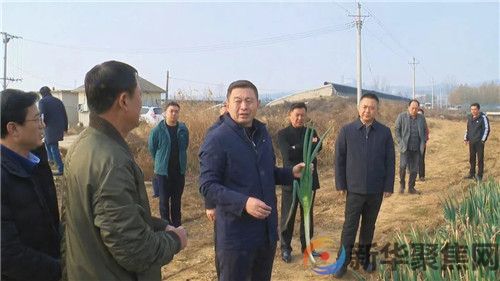 普兰店区委书记周振雷调研全区大葱产业发展情况(图1)