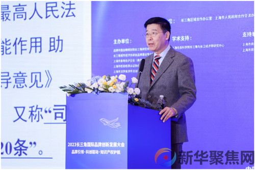 2023长三角国际品牌创新发展大会在上海举办(图7)