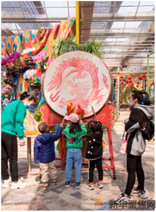 旅顺口区举办特色产品年货展销大集，小南村七彩南山太空植物王国景区免费开放(图2)