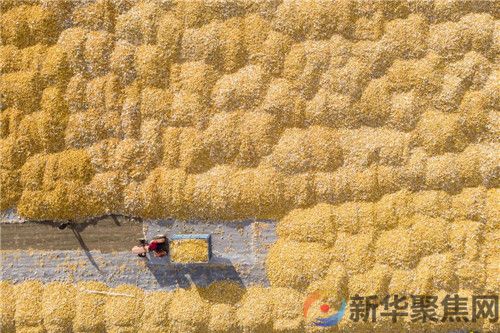 新华社2024年新年献词(图2)