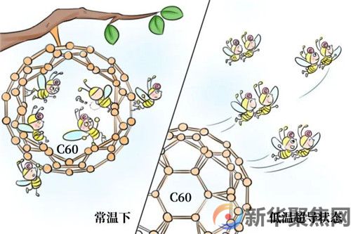 首次观测到！祝贺我国科学家