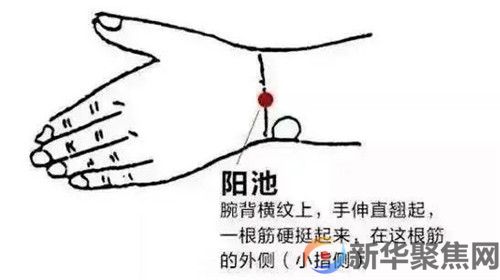 今日冬至,三忌、三宜、三秘诀,过好极为寒冷的15天!(图2) 今日冬至,三忌、三宜、三秘诀,过好极为寒冷的15天!(图2)