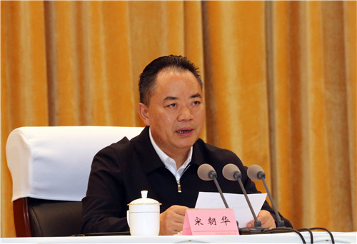宋朝华，被查