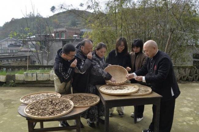 【品牌人物库·重点推荐】康之和苗药——冯文龙