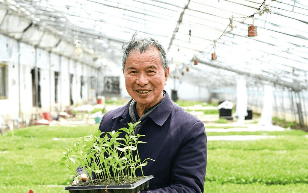 【品牌人物库·重点推荐】“辣椒大王”杨意红(2) 【品牌人物库·重点推荐】“辣椒大王”杨意红(2)